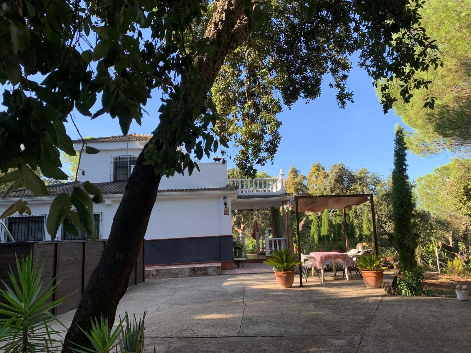 הוילה קורדובה Casa San Francisco De Asis מראה חיצוני תמונה