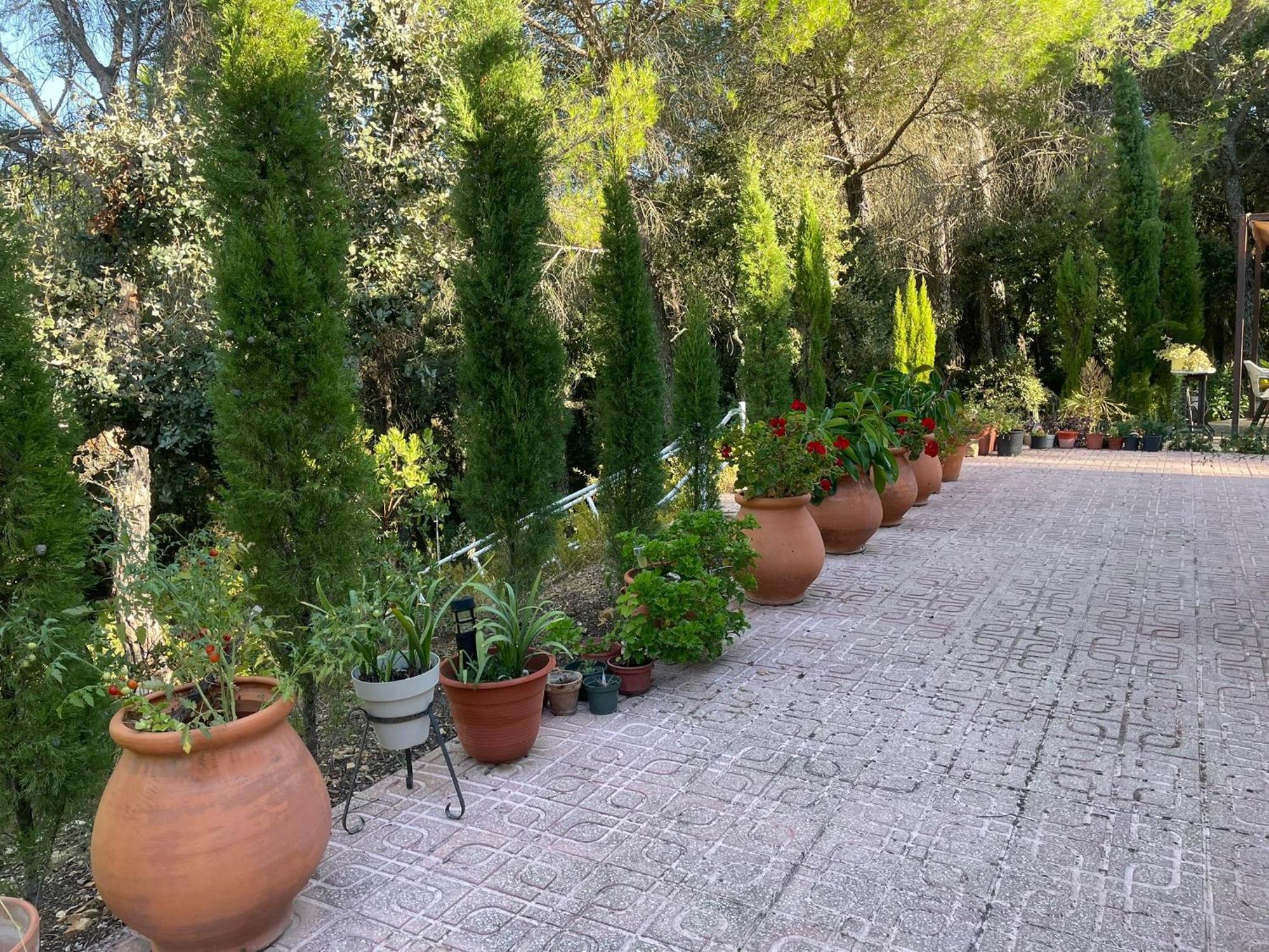 הוילה קורדובה Casa San Francisco De Asis מראה חיצוני תמונה