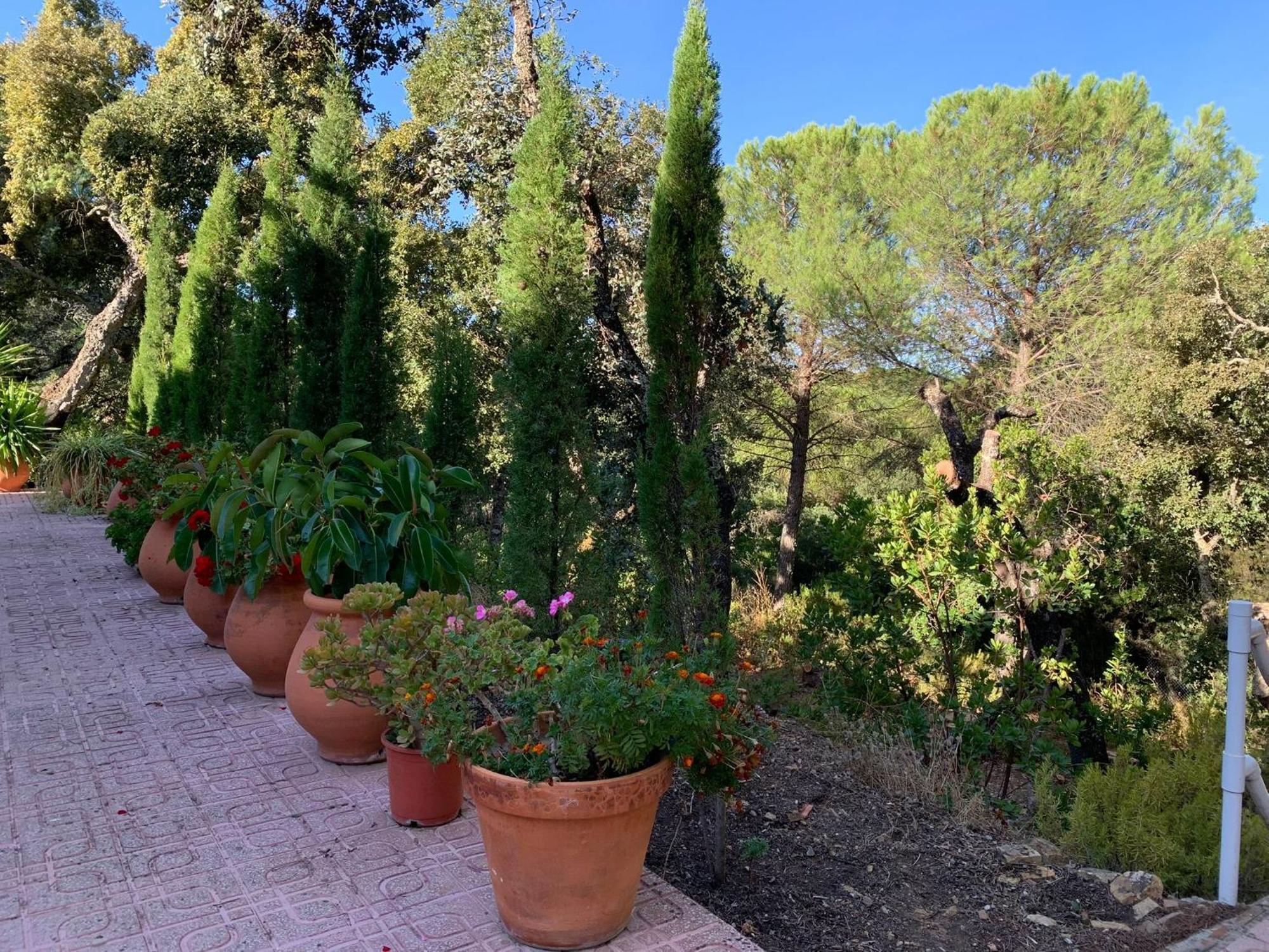 הוילה קורדובה Casa San Francisco De Asis מראה חיצוני תמונה