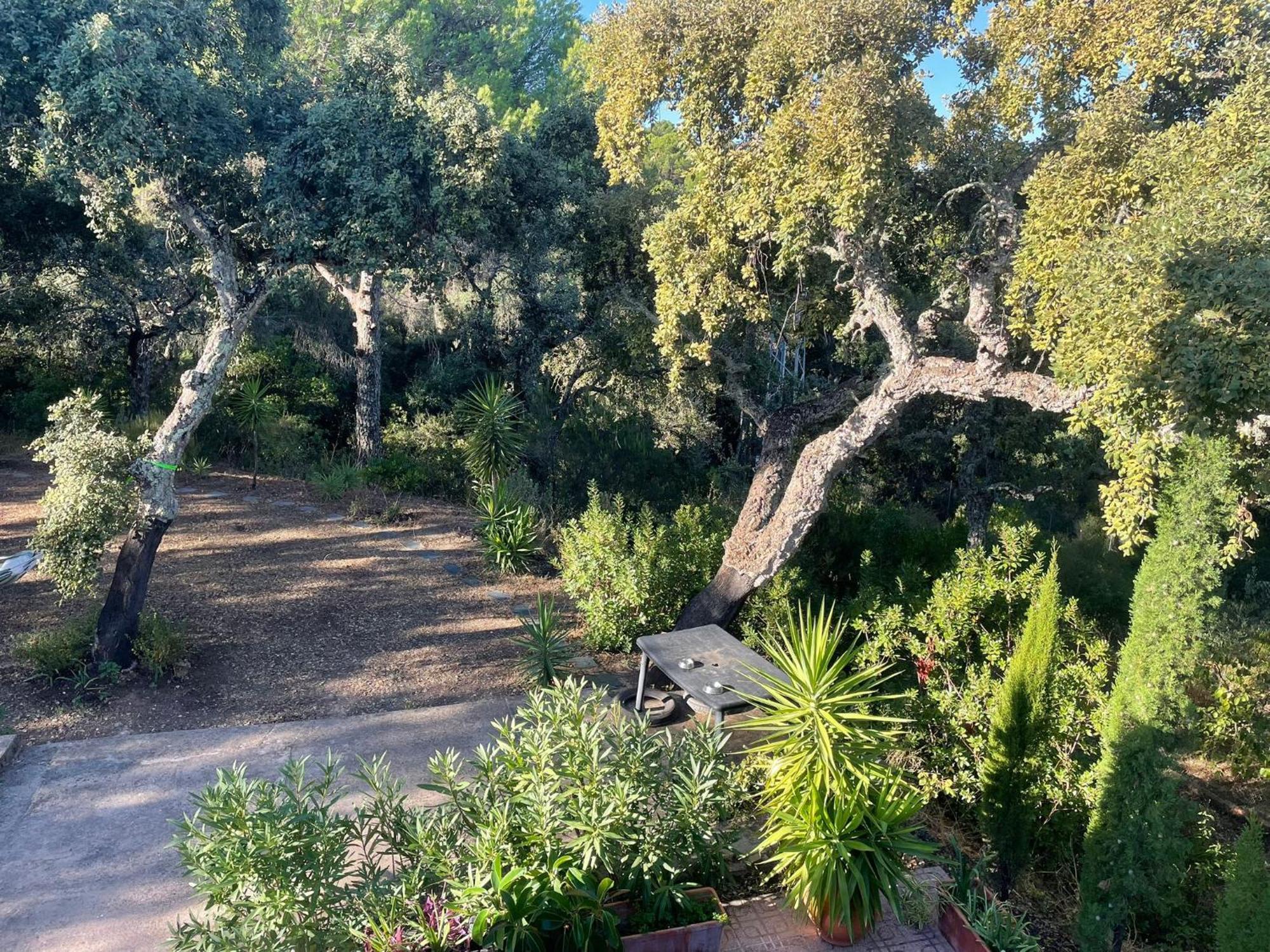הוילה קורדובה Casa San Francisco De Asis מראה חיצוני תמונה