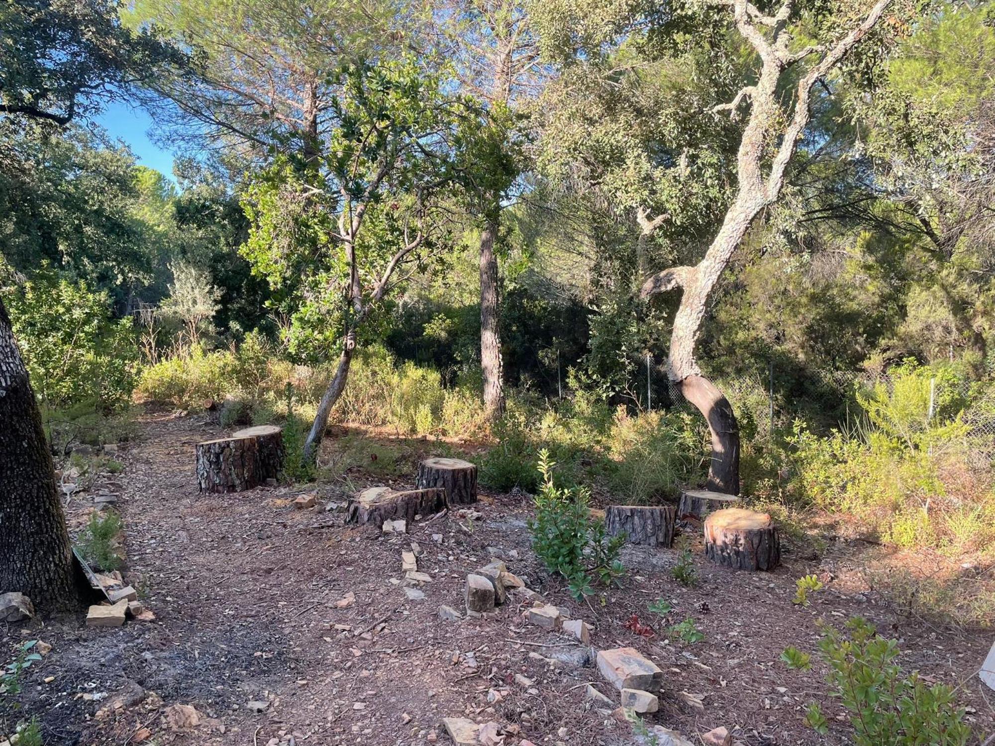 הוילה קורדובה Casa San Francisco De Asis מראה חיצוני תמונה